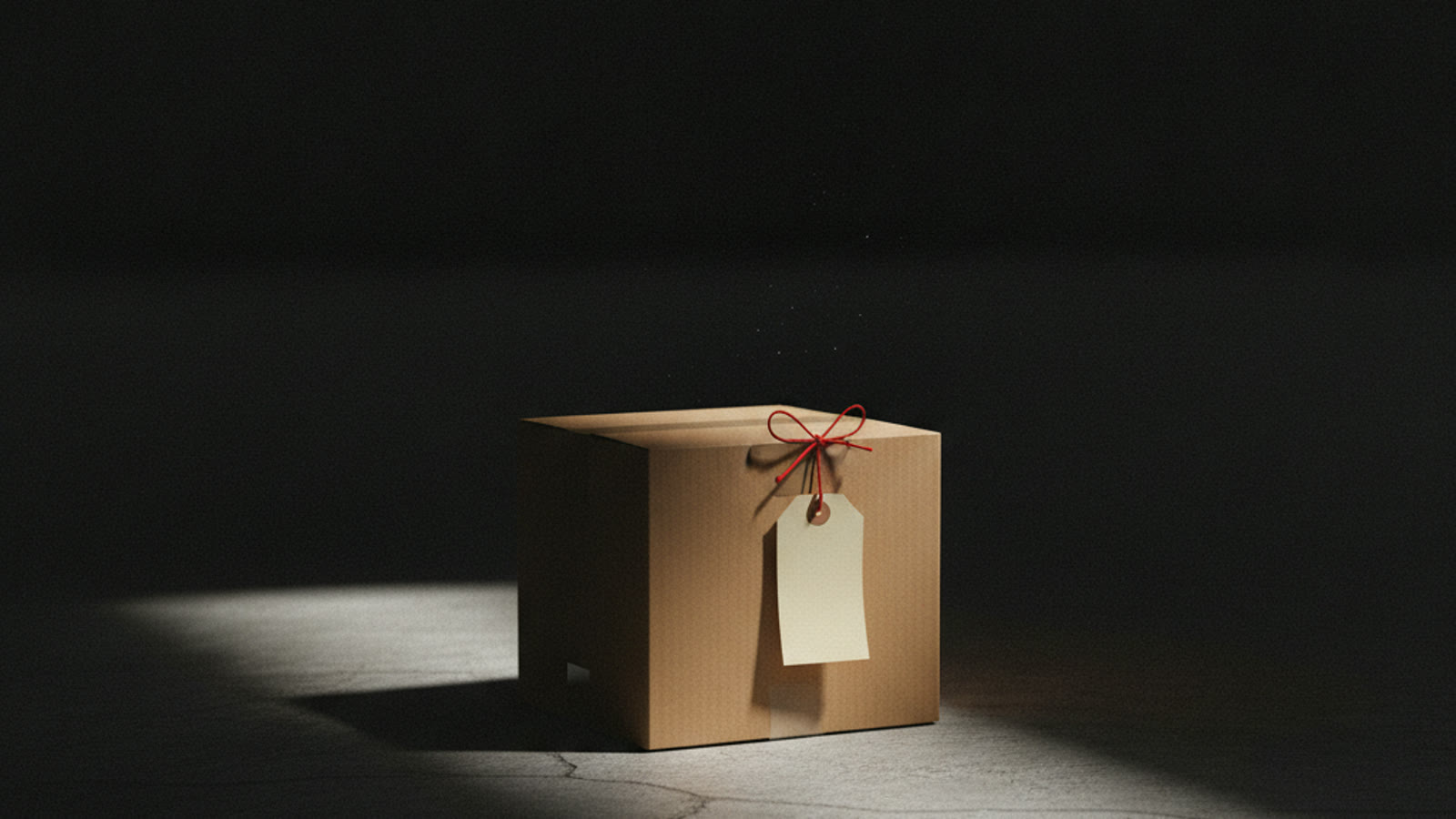 Una caja de cartón sencilla sobre un suelo de hormigón bajo un único haz de luz, con una etiqueta de papel en blanco atada con un cordel rojo.